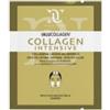 GDP SRL-GENERAL DIETET.PHARMA Natur Unique Ialucollagen Collagene Intensive Guance 17 G