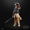 Hasbro Star Wars - Black Series - Princess Leila Organa (Boushh)