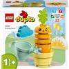 LEGO DUPLO 10981 Una carota che cresce My First