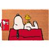 Gruppo Erik - Zerbino Snoopy