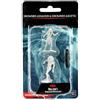 Wizkids - D&D Nolzur's Mum Drowned Assassin & Ascetic