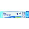 boiron Iris versicolor 9ch 80gr 4g