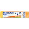 Hepar sulfuris calc*15ch 80gr - - 048287510