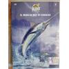 il marlin blu di caracas dvd documentario andare a pesca big fish pescare nuovo