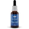GREEN REMEDIES SpA Australian Bush Flower Mood, 30 ml
