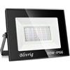 Blivrig 30W Faretto LED da Esterno, 3000LM Proiettore Faro LED, Bianco Freddo 6000K,Impermeabile IP66 Fari LED Lampada Luce di Sicurezza Potente Super Luminosa per Giardino Corridoio Cortile