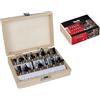 Einhell Set Di 15 Frese Adatte Per Fresatrici Elettriche, In Valigetta Di Legno, 15 Pezzi, Diametro Gambo 8 Mm