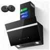 TopStrong Cappa aspirante 60 cm, 800 m³/h Cappa Cucina Inclinata 60cm con Filtro a Carboni, Classe A+++, Ricircolo & Canalizzazione, 3 Livelli di Regolazione + Booster, 65 dB, LED