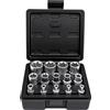 AFEPHE Set di Chiavi a Bussola E-Torx da 1/4 3/8 e 1/2, Set di 14 Bussole Torx Esterne E4, E5, E6, E7, E8, E10, E11, E12, E14, E16, E18, E20, E22, E24（Nero）