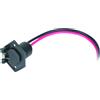 MOTORGUIDE PRESA 50A