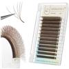 ANNAFRIS Extension Ciglia 5D W Marrone 0.07 L 8-15mm Premade Fan Lash Russian Volume Ciglia Ciuffetti 5D Eyelash Extension(5DW,0.07L,Brown,8-15mm)