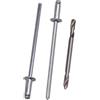 SKIR'CO 50 rivetti ciechi 2,4 x 6 mm, in alluminio, DIN 7337, testa a cupola, mandrino in acciaio, rivetti pop