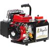 Agrieuro Premium Angelis - Generatore di corrente portatile 12/22V