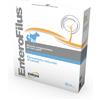 EnteroFilus - 12 x 10 ml