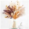 Lxoraziy 64 Pezzi Bouquet di Fiori Secchi Boho - Pampas Naturale, Code di Coniglio, Eucalipto & Altro - Decorazioni Floreali Rustiche per Casa, Matrimonio, Ufficio & Regali DIY