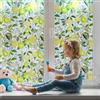 Qualsen Pellicola per Vetri Finestre 60x200cm, Effetto Arcobaleno Motivo ad Albero di Limone Pellicola Privacy Finestre Decorativa Elettrostatica Non Adesiva Anti-UV Opaca per Casa Ufficio Cucina