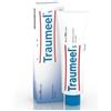 Heel Traumeel S Crema 100 g