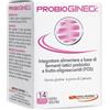 Pool Pharma Probiogineck Integratore Intimo Donna Con Fermenti Lattici 14 Capsule Vegetali Deglutibili