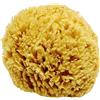 Givereldi Spugna di mare naturale a nido d'ape non candeggiata - forte e resistente - 100% naturale e biologica - ipoallergenico - per neonati, bambini e adulti - bagno, esfoliante, arte, animali domestici