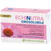 farmaderbe Echinutra orosolubile 12 buste