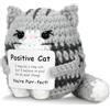 Calkkrer Gatto Mini Amigurumi, Regalo di Supporto Emotivo, Bambola Intrecciata Ispiratrice Fatta a Mano, Regalo Motivazionale all'Uncinetto, Portafortuna