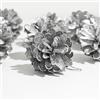 DAHI Pigne per decorazione albero di Natale da appendere all'albero di Natale, palline ornamentali di Natale (argento)