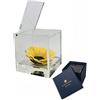Passionefiori.it S1888 Luxury Girasole Stabilizzato Vero in Cubo più Spesso Luxury 8cm e Scatola Regalo Lusso, Idea Regalo per lei, Natale