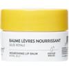 ALVADIEM Balsamo Labbra Nutriente 10 ml alla Pappa Reale Biologica - Labbra Secche e Danneggiate - Riparatore, Nutriente e Protettivo - Texture Ricca - Prodotto in Francia