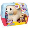 Rocco Giocattoli - Little Live Pets Cagnolino