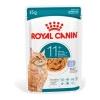 ROYAL CANIN BUSTA AGEING +11 JELLY 85gr