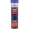NAMED Sambucol Effervescente 15 compresse