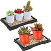 Pinkunn Confezione da 2 vassoi antigoccia per bonsai, in plastica, per interni ed esterni, cactus, piante grasse, bonsai, pietre non incluse (rettangolare, 19 x 14 cm)