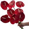 Corkwaw 8 fiori artificiali di Anthurium da 60 cm, veri al tatto, per centrotavola e composizioni floreali per matrimoni, festival, decorazioni floreali (rosso)