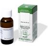 SARANDREA MARCO &C. Srl Sarandrea Boldo Tintura Madre 100ml