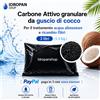 Carbone Attivo Granulare 3 L per Filtri Acqua e Osmosi