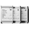 Synology HAS5300-12T disco rigido interno 12 TB 7200 Giri/min 256 MB 3.5" SAS [HAS5300-12T]