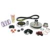 MALOSSI SRL Variatore Over Range Malossi Piaggio NRG - Malossi 6114219