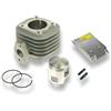 MALOSSI SRL Gruppo Termico Cilindro completo i - tech ø 47 in alluminio con spinotto ø 12 MHR Replica Scooter 50 2T APRILIA Aria - Malossi 3112054