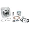 MALOSSI SRL Gruppo Termico - cilindro diametro 65 in alluminio - Aprilia - Piaggio - 2T - Malossi 318236