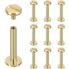 sourcing map Chicago - Set di 10 rivetti a vite M4 x 25 mm, in metallo, a testa Phillips, per fai da te, pelle, borse, artigianato, rilegatura, ottone