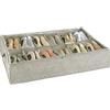 WENKO Custodia sottoletto per scarpe Balance - Custodia portascarpe con 12 scomparti, scatola portascarpe con coperchio, Polipropilene, 74 x 15 x 60 cm, Tortora