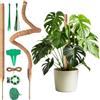 Ouxayapl 2 Pezzi Tutore Piante Rampicanti 120 cm, Supporto per Piante di Cocco, Pieghevole Palo di Crescita di Piante Rampicanti per Piante Monstera/Giardino