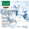 Natura Service Ligne De Plantes Collagene Marino Acido Ialuronico 15 Ampolle