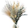 Ferizzia 65 Pièces Pampas Bouquet Séché, Boho Séchées Naturelle Bouquet Décoration, Pampa Fleurs Séchées Bouquets, Boho Arrangements Décoration, pour Déco Intérieur, Chambre, Mariage