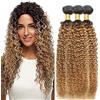 AiPliantfis Curly Wave Bundles Human Hair Capelli Veri Tessitura Human Hair Extensions Capelli Umani 1B27 Ombre Blond Double Weft Unprocessed Virgin Remy Hair for Women 3 Bündel 14 16 18 Pollici