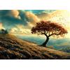 Ulmer Puzzleschmiede - Puzzle da 1000 pezzi Autunno - Albero solitario nel paesaggio autunnale con colline in particolare luce - Qualità puzzle Made in Germany