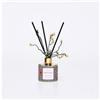 Efas Diffusore Ambiente Arancione 50 Ml