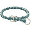 Trixie Collana da Allenamento Blu Verde XS/S 25-31 cm - Marca: Trixie - EAN: 4053032678149