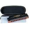 Cascha - Professional Harmonica, La Maggiore Blues Harmonica, armonica diatonica a 10 fori per principianti e adulti con tasca e panno per la pulizia, (HH 2161)