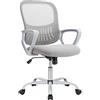 DUMOS Sedia da ufficio ergonomica, da scrivania con supporto lombare, girevole con bracciolo, sedia per computer, sedia da ufficio regolabile in altezza, adatta per ufficio e camera da letto (grigio)